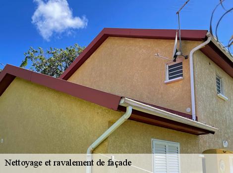 Nettoyage et ravalement de façade  78240