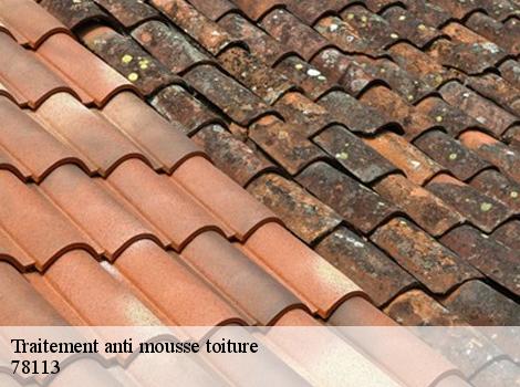 Traitement anti mousse toiture  78113