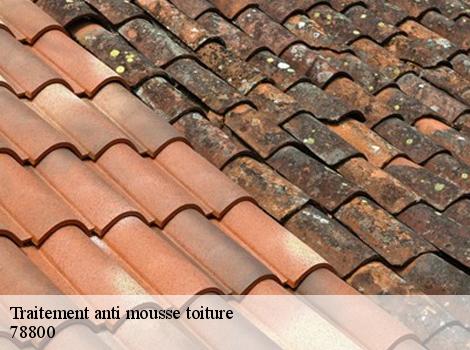 Traitement anti mousse toiture  78800