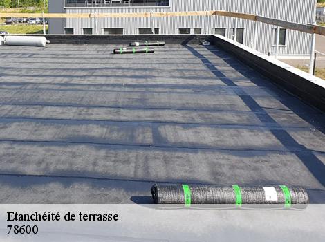 Etanchéité de terrasse  78600