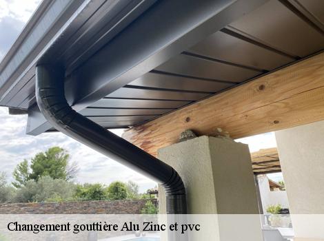 Changement gouttière Alu Zinc et pvc  78125