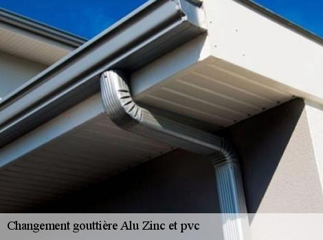 Changement gouttière Alu Zinc et pvc  78150