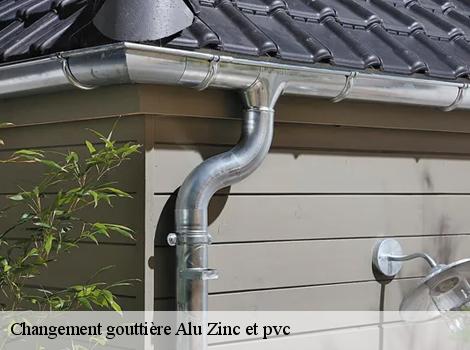 Changement gouttière Alu Zinc et pvc  78580