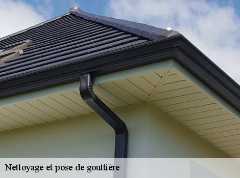 Nettoyage et pose de gouttière  78260