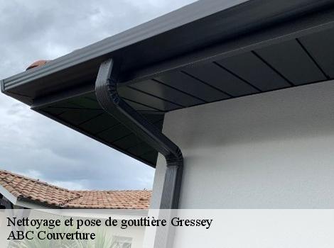 Nettoyage et pose de gouttière  78550